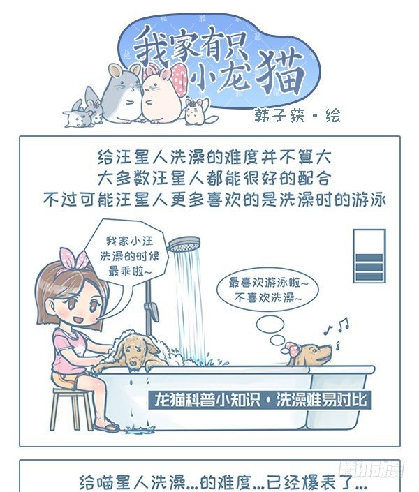 《我家有只小龙猫》漫画最新章节第115个小故事（4）免费下拉式在线观看章节第【1】张图片