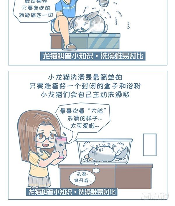 《我家有只小龙猫》漫画最新章节第115个小故事（4）免费下拉式在线观看章节第【3】张图片