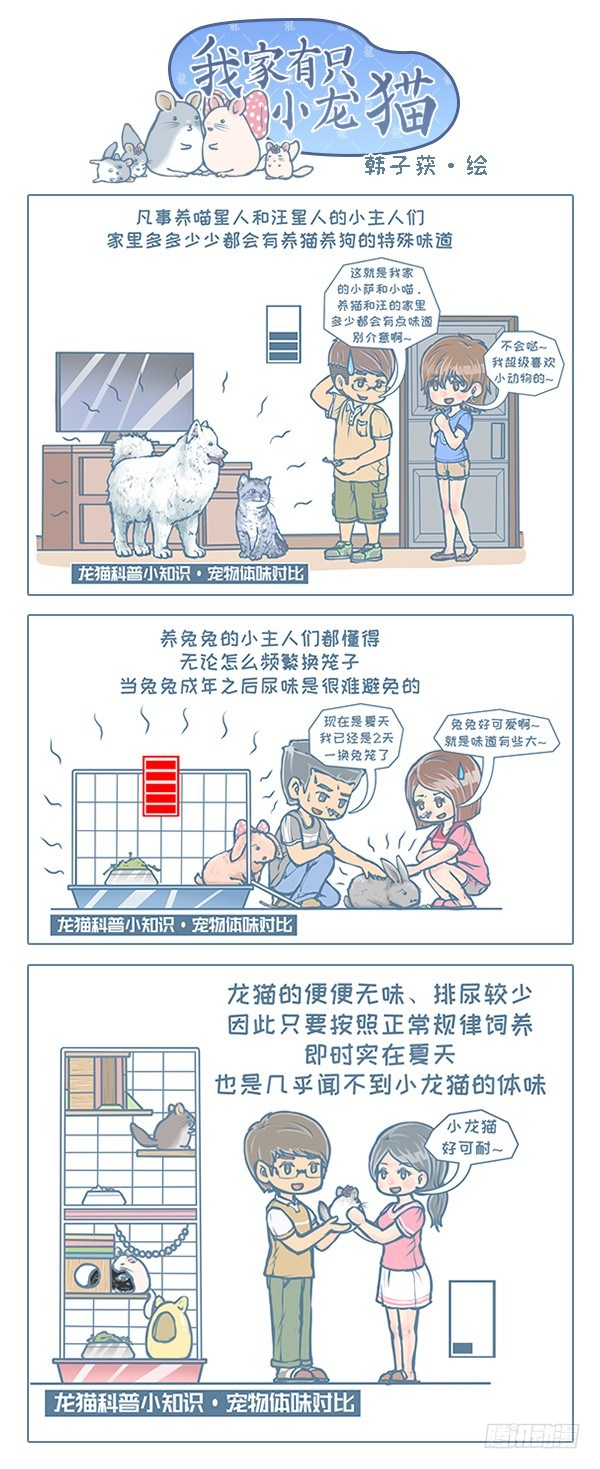 《我家有只小龙猫》漫画最新章节第115个小故事（5）免费下拉式在线观看章节第【1】张图片