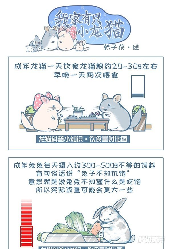 《我家有只小龙猫》漫画最新章节第115个小故事（6）免费下拉式在线观看章节第【1】张图片