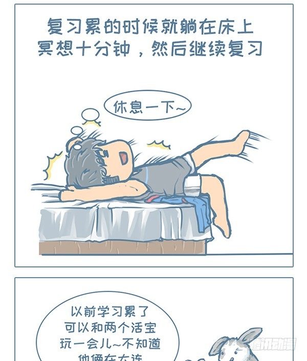 《我家有只小龙猫》漫画最新章节第118个小故事（4）免费下拉式在线观看章节第【2】张图片