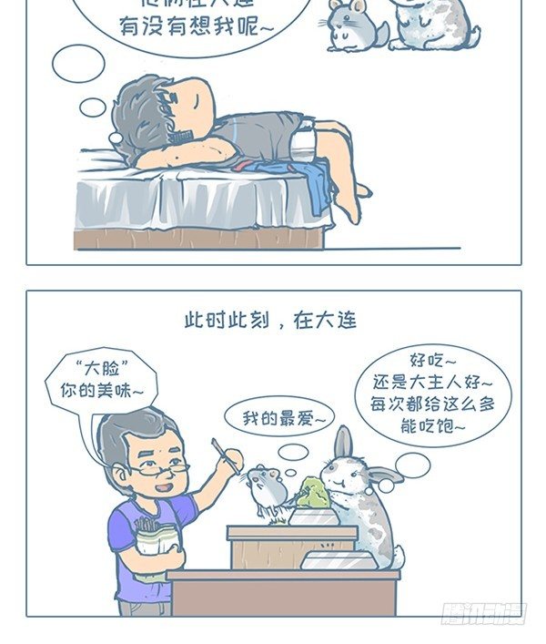 《我家有只小龙猫》漫画最新章节第118个小故事（4）免费下拉式在线观看章节第【3】张图片