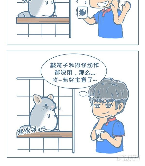 《我家有只小龙猫》漫画最新章节小雕塑故事之二（1）免费下拉式在线观看章节第【3】张图片