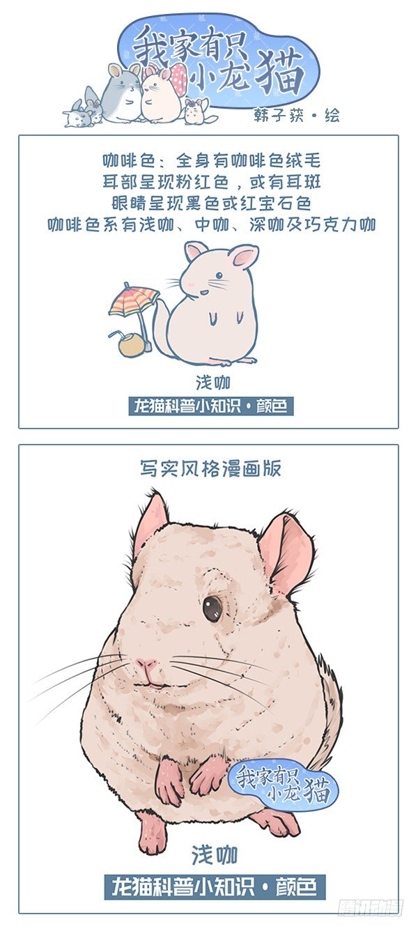 《我家有只小龙猫》漫画最新章节第119个故事（9）免费下拉式在线观看章节第【1】张图片