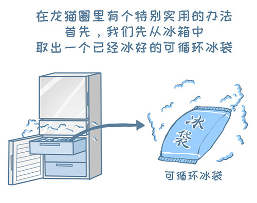 《我家有只小龙猫》漫画最新章节第120个小故事免费下拉式在线观看章节第【2】张图片