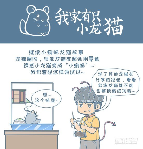 《我家有只小龙猫》漫画最新章节第121个小故事免费下拉式在线观看章节第【1】张图片