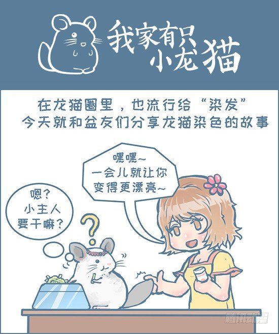 《我家有只小龙猫》漫画最新章节第122个小故事（上）免费下拉式在线观看章节第【1】张图片