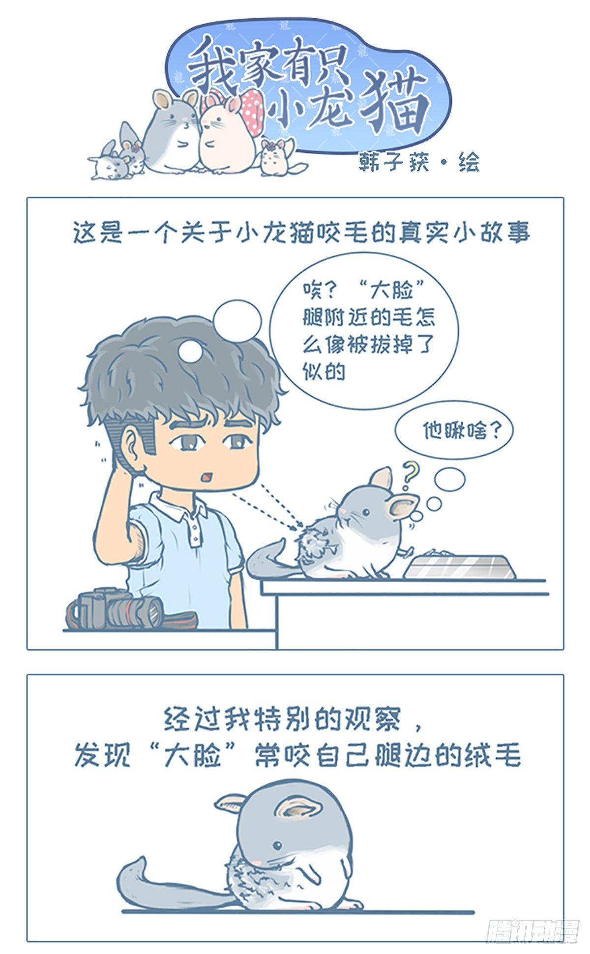 《我家有只小龙猫》漫画最新章节第18个小故事免费下拉式在线观看章节第【1】张图片