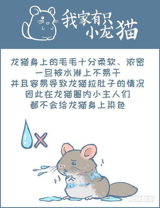 《我家有只小龙猫》漫画最新章节第122个小故事（下）免费下拉式在线观看章节第【1】张图片