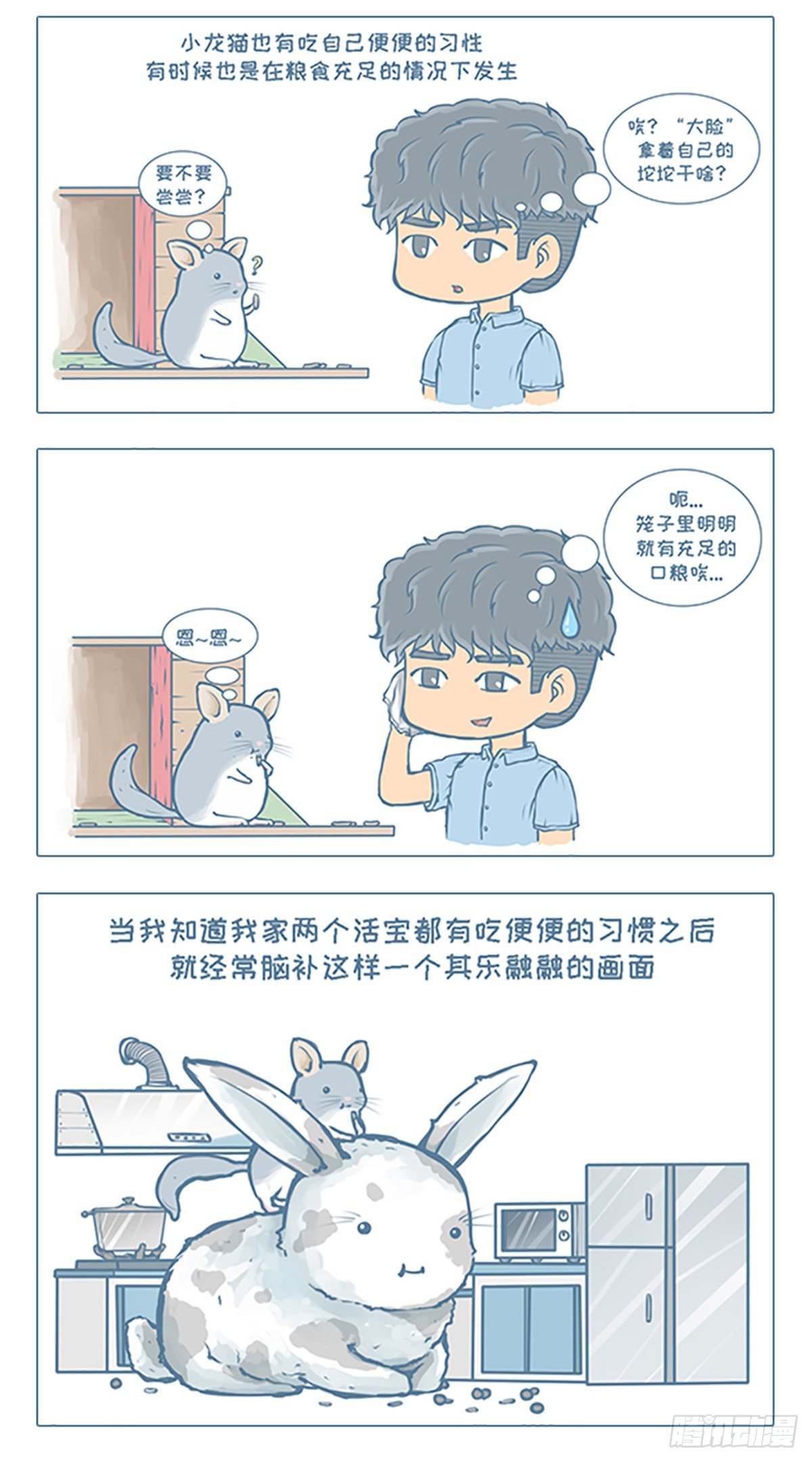 《我家有只小龙猫》漫画最新章节第19个小故事免费下拉式在线观看章节第【2】张图片