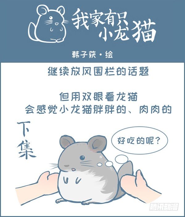 《我家有只小龙猫》漫画最新章节第126个小故事（下）免费下拉式在线观看章节第【1】张图片