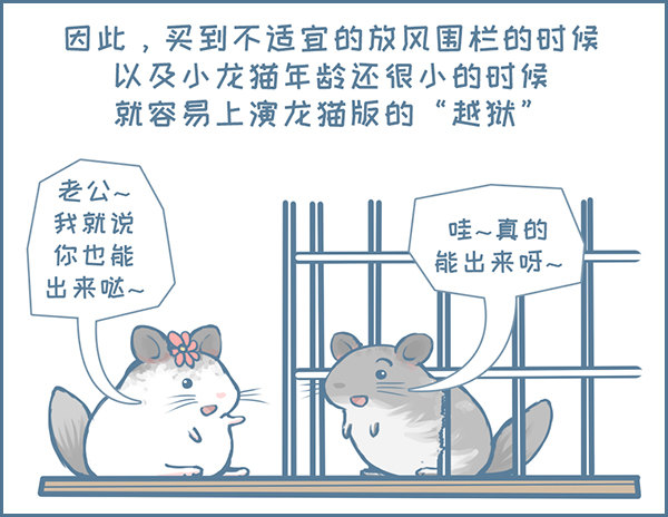 《我家有只小龙猫》漫画最新章节第126个小故事（下）免费下拉式在线观看章节第【3】张图片