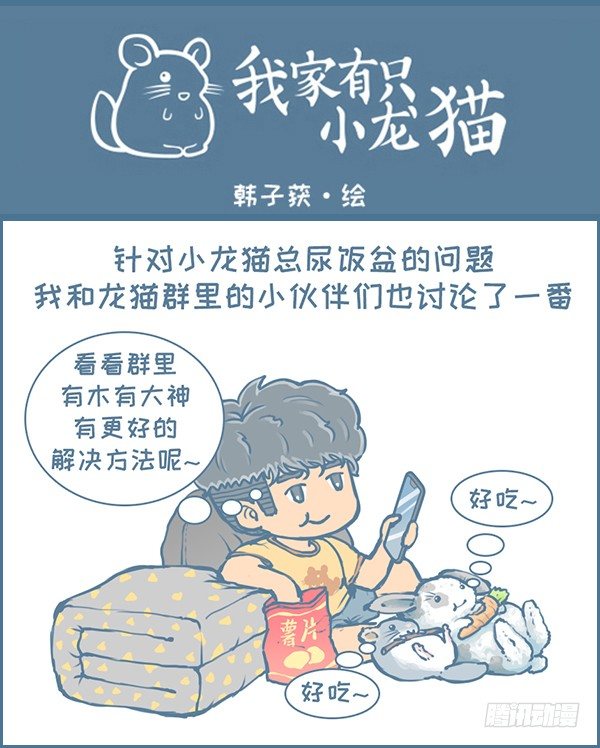 《我家有只小龙猫》漫画最新章节第129个小故事免费下拉式在线观看章节第【1】张图片