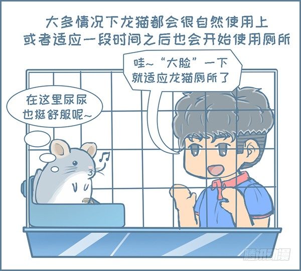 《我家有只小龙猫》漫画最新章节第133个小故事免费下拉式在线观看章节第【4】张图片