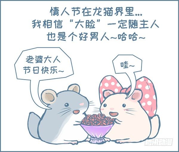 《我家有只小龙猫》漫画最新章节第136个小故事免费下拉式在线观看章节第【3】张图片