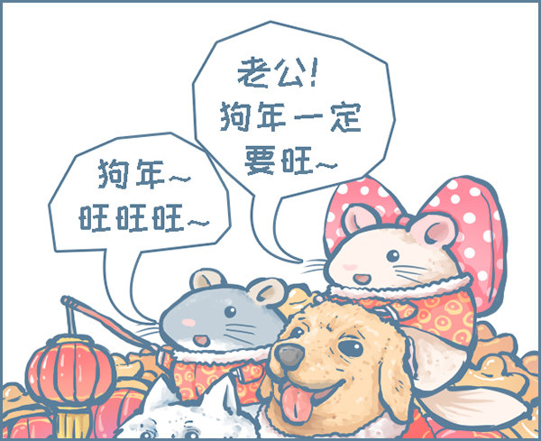 《我家有只小龙猫》漫画最新章节过年的小故事免费下拉式在线观看章节第【2】张图片