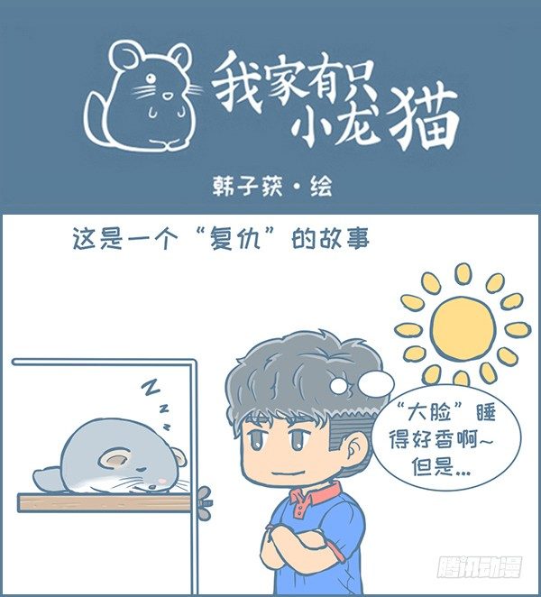 《我家有只小龙猫》漫画最新章节第141个小故事（1）免费下拉式在线观看章节第【1】张图片