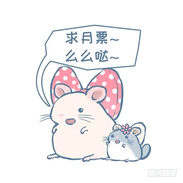 《我家有只小龙猫》漫画最新章节第141个小故事（2）免费下拉式在线观看章节第【5】张图片