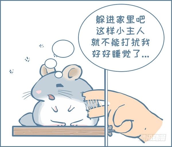 《我家有只小龙猫》漫画最新章节第141个小故事（3）免费下拉式在线观看章节第【2】张图片