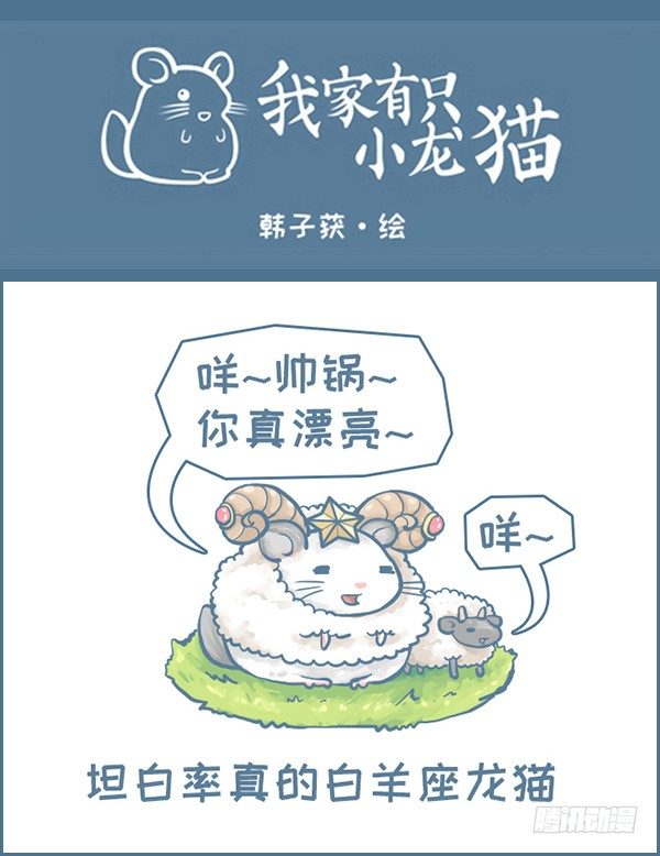 《我家有只小龙猫》漫画最新章节第143个小故事（上）免费下拉式在线观看章节第【1】张图片