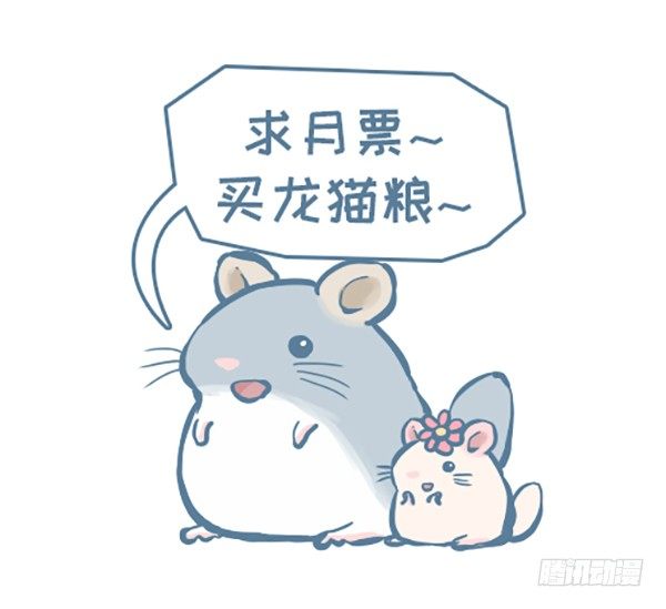 《我家有只小龙猫》漫画最新章节第143个小故事（上）免费下拉式在线观看章节第【5】张图片