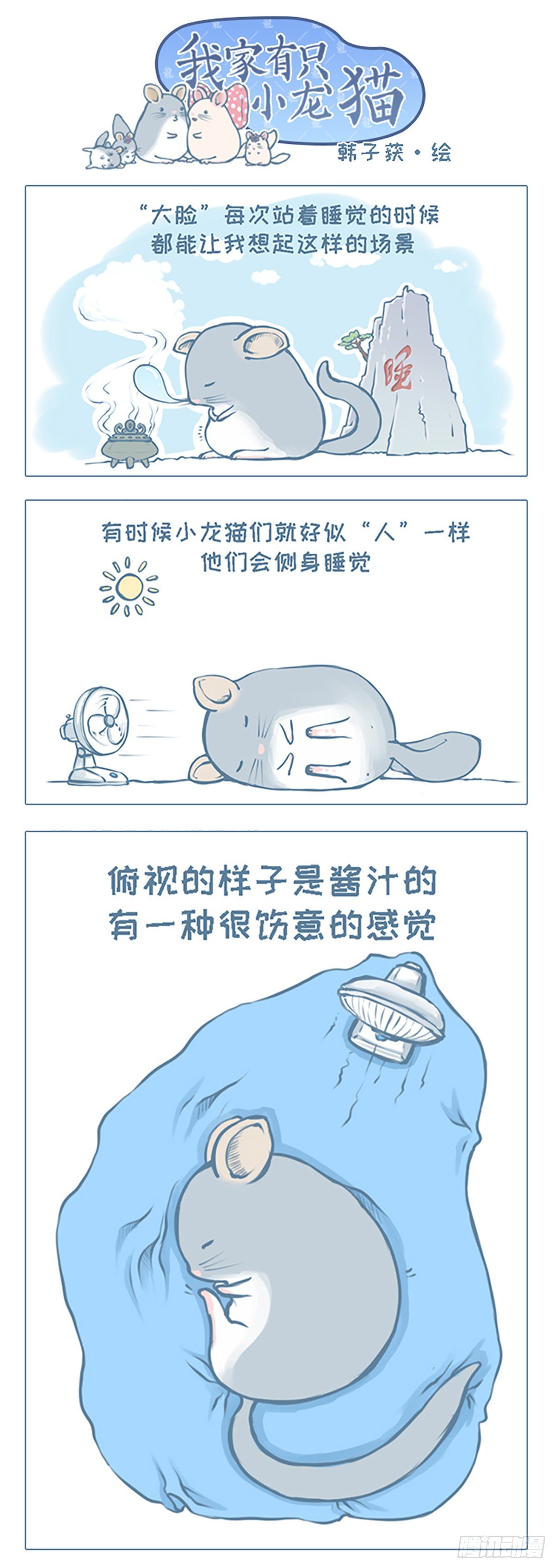 《我家有只小龙猫》漫画最新章节第4个小故事免费下拉式在线观看章节第【1】张图片