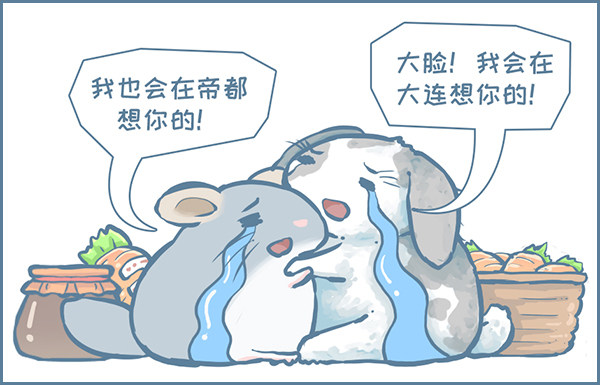 《我家有只小龙猫》漫画最新章节第145个小故事（下）免费下拉式在线观看章节第【5】张图片