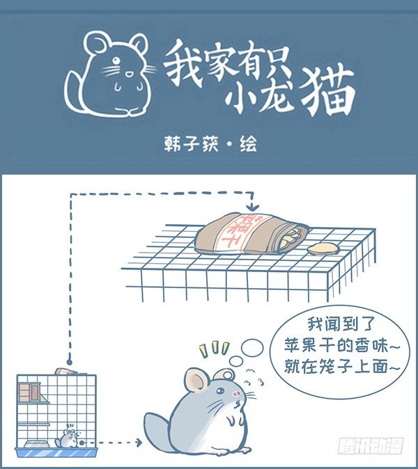 《我家有只小龙猫》漫画最新章节第146个小故事（下）免费下拉式在线观看章节第【1】张图片