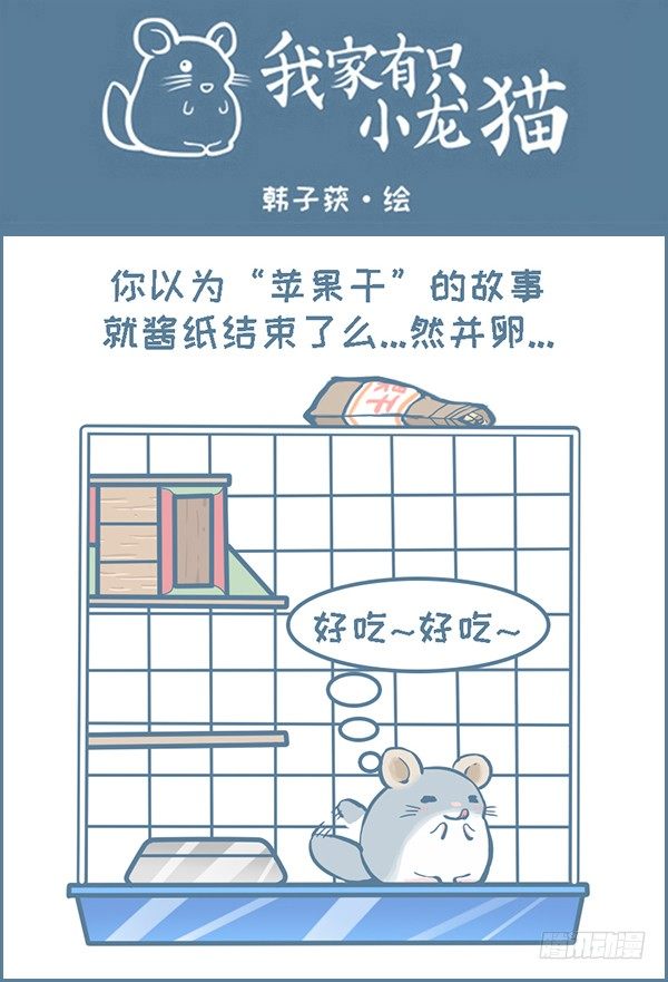 《我家有只小龙猫》漫画最新章节第147个小故事（上）免费下拉式在线观看章节第【1】张图片