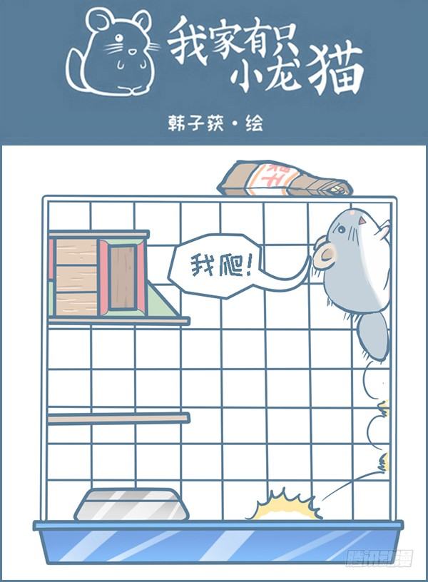 《我家有只小龙猫》漫画最新章节第147个小故事（下）免费下拉式在线观看章节第【1】张图片