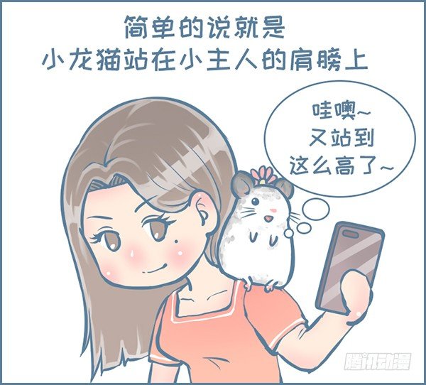 《我家有只小龙猫》漫画最新章节第150个小故事免费下拉式在线观看章节第【2】张图片