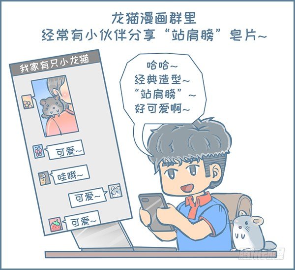 《我家有只小龙猫》漫画最新章节第150个小故事免费下拉式在线观看章节第【4】张图片