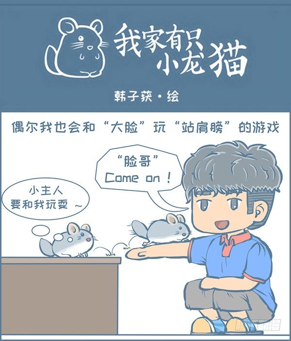 《我家有只小龙猫》漫画最新章节第151个小故事免费下拉式在线观看章节第【1】张图片