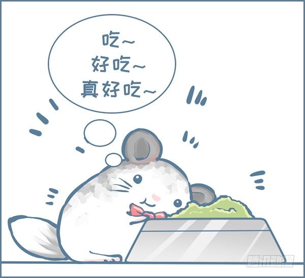 《我家有只小龙猫》漫画最新章节第153个小故事免费下拉式在线观看章节第【2】张图片