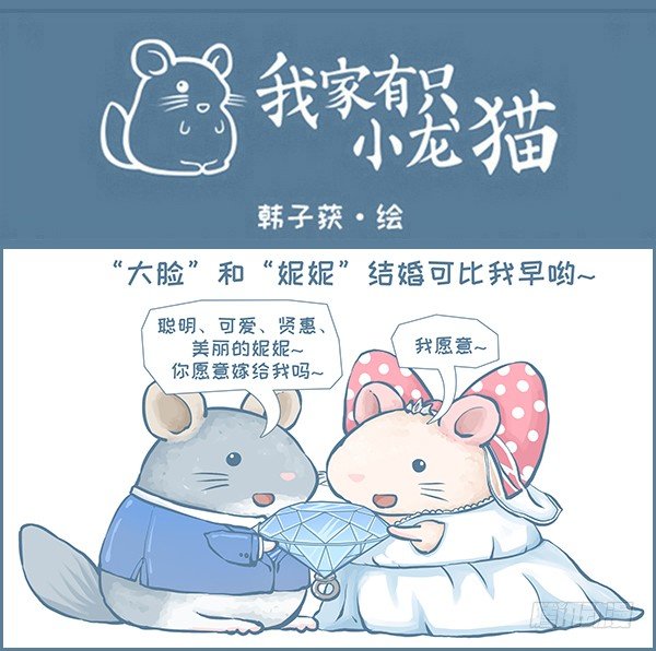 《我家有只小龙猫》漫画最新章节我们结婚啦（上）免费下拉式在线观看章节第【1】张图片