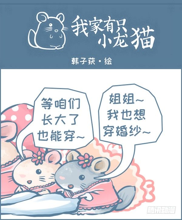 《我家有只小龙猫》漫画最新章节我们结婚啦（下）免费下拉式在线观看章节第【1】张图片