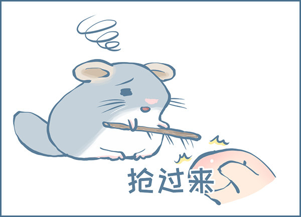 《我家有只小龙猫》漫画最新章节向北京出发（6）免费下拉式在线观看章节第【4】张图片