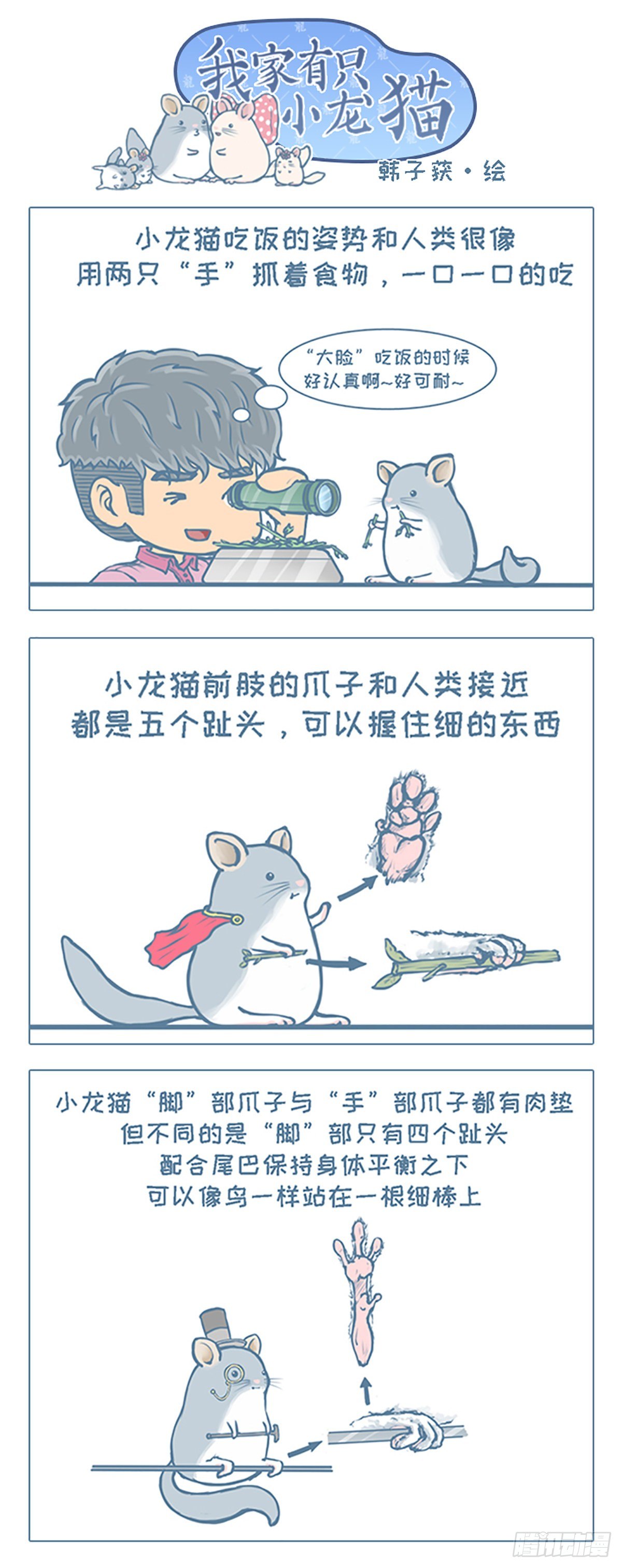 《我家有只小龙猫》漫画最新章节第26个小故事免费下拉式在线观看章节第【1】张图片