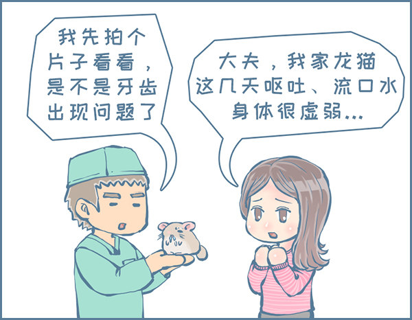 《我家有只小龙猫》漫画最新章节真实的龙猫友故事—菟丝丝（上）免费下拉式在线观看章节第【3】张图片