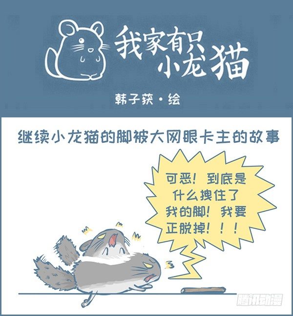 《我家有只小龙猫》漫画最新章节第157个小故事（2）免费下拉式在线观看章节第【1】张图片