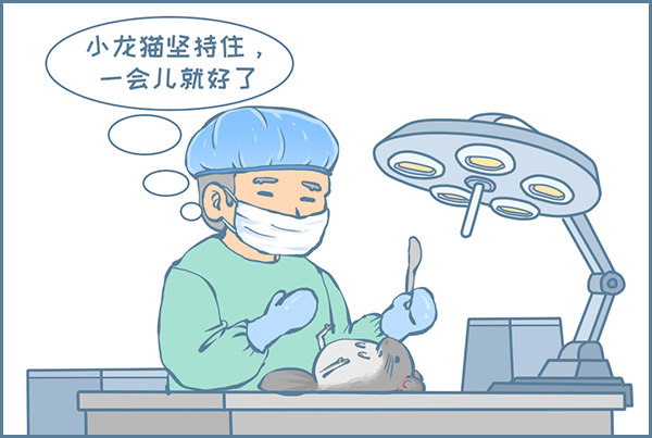 《我家有只小龙猫》漫画最新章节第157个小故事（3）免费下拉式在线观看章节第【2】张图片