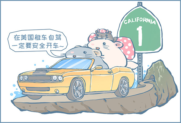 《我家有只小龙猫》漫画最新章节一号公路免费下拉式在线观看章节第【3】张图片