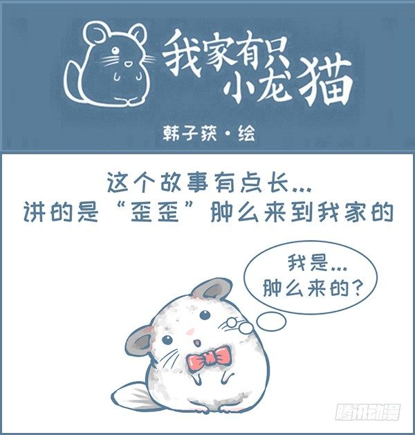 《我家有只小龙猫》漫画最新章节歪歪的由来（1）免费下拉式在线观看章节第【1】张图片