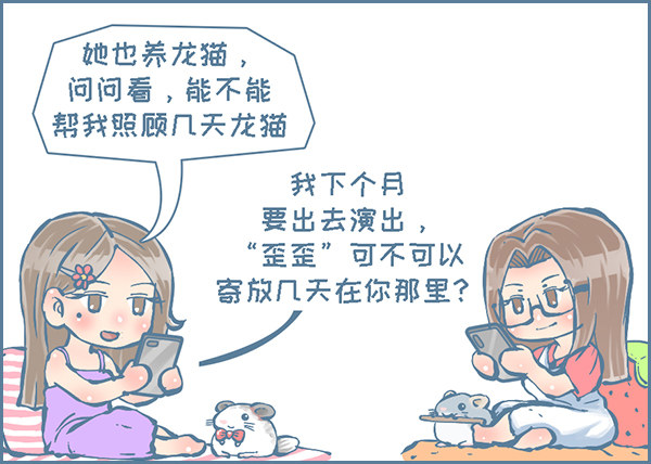 《我家有只小龙猫》漫画最新章节歪歪的由来（9）免费下拉式在线观看章节第【3】张图片