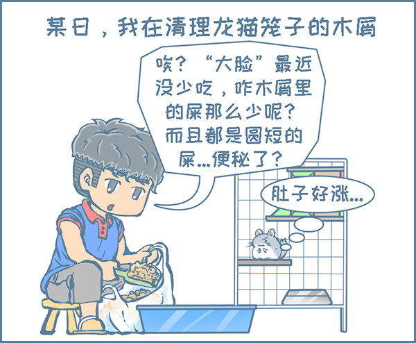 《我家有只小龙猫》漫画最新章节龙猫便秘了(上）免费下拉式在线观看章节第【2】张图片