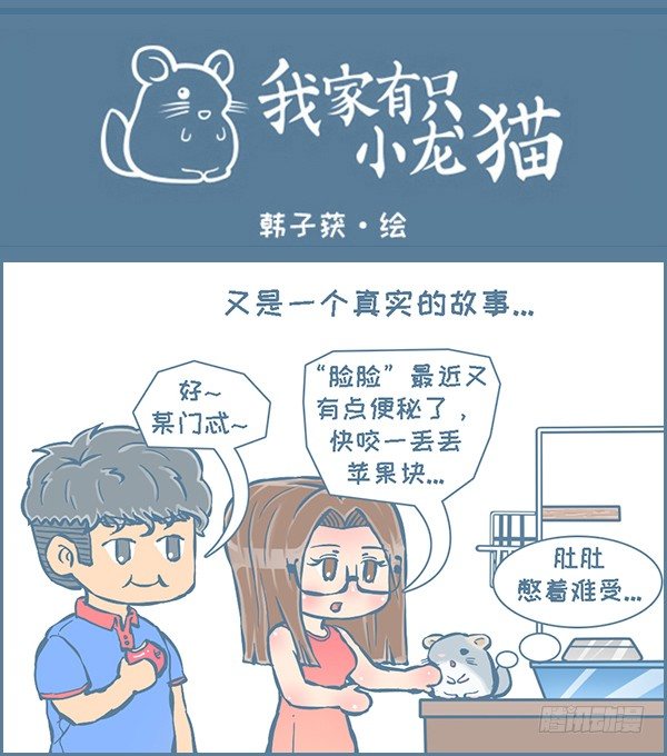 《我家有只小龙猫》漫画最新章节龙猫便秘了-续（上）免费下拉式在线观看章节第【1】张图片