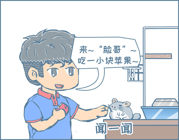 《我家有只小龙猫》漫画最新章节龙猫便秘了-续（上）免费下拉式在线观看章节第【3】张图片