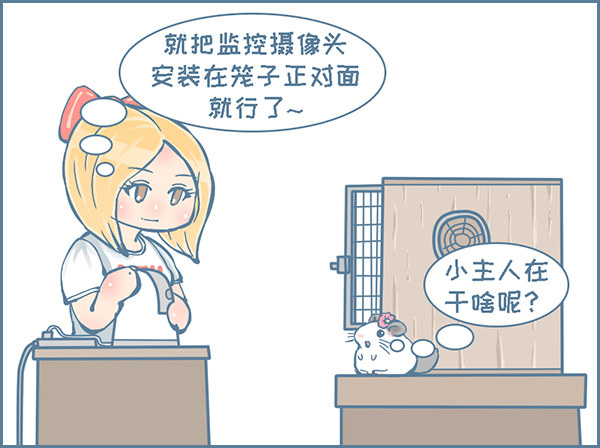 《我家有只小龙猫》漫画最新章节龙猫监控摄像头（1）免费下拉式在线观看章节第【3】张图片