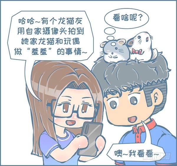 《我家有只小龙猫》漫画最新章节龙猫监控摄像头（2）免费下拉式在线观看章节第【4】张图片