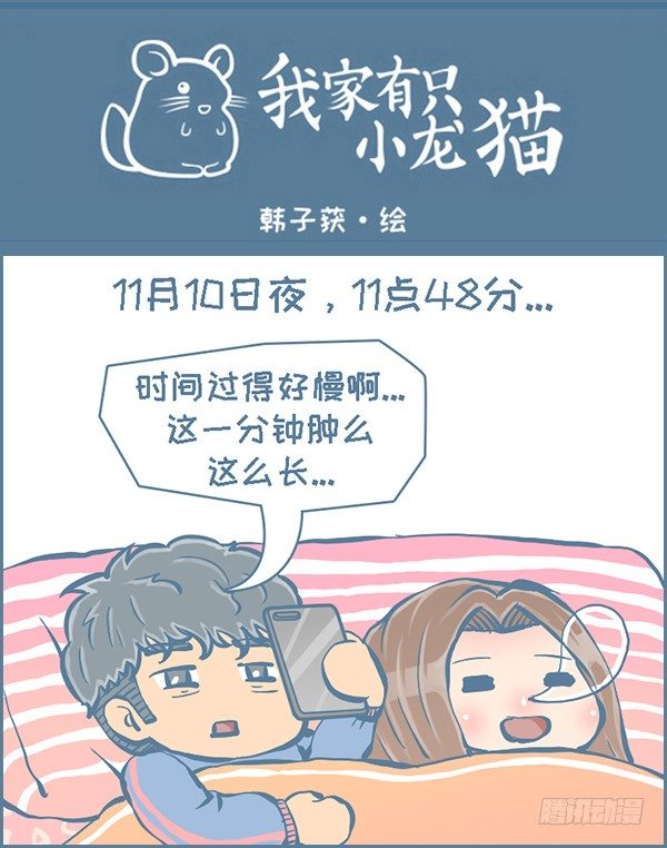 《我家有只小龙猫》漫画最新章节双十一的故事（2）免费下拉式在线观看章节第【1】张图片